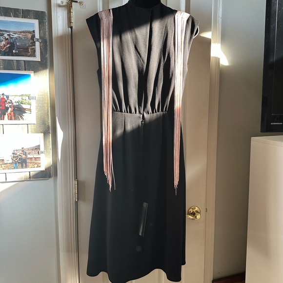 BCBG Rheya Fringe Appliqué Dress—unique size 4 - Picture 6 of 7